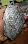 542 Gm Etched Gibeon Iron Meteorite Slab Museum  Grade  Ring Namibia Africa