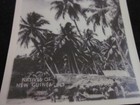 Antique Rppc New Guinea Natives And Palm Trees Island Malay Archipelago Postcard