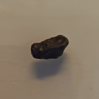 Nantan Iron Meteorite Iab-mg Specimen In Display Case  Guangxi China 1516 1958