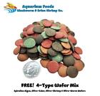 Brine Shrimp Eggs Jar  Premium Grade 90  Hatch Great Salt Lake Artemia Eggs