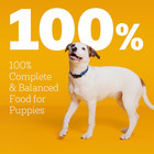 Pedigree Puppy Dry Dog Food  Grilled Steak   Vegetable  3 5 Lb