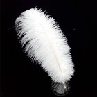 White Ostrich Feathers 10 Pack 16-18 Inch For Wedding Crafts Centerpieces