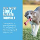 Kong Puppy Goodie Bone - Natural Rubber Chew Toy For Small Dogs   Teething Pups