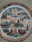 Illinois State Souvenir Plate 1950s Vintage Mcm Kitschy Collector Travel