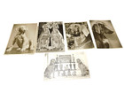 Vintage Lot Of 6 1950 s Weimaraner Champion Show Dogs Black White Photo 5 X7 