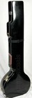 Electric Sitar Shri Ravi Shankar Style Fiber Box Tun Wood Free String   Mizrab 