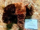 Prisoners - Eddie Milliand Screen Used Hero Prop 14  Stuffed Buffalo With Coa