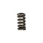 Honda 28333-124-000 Spring Twinstar Elsinore Fourtrax 4x4 Expert Trails 250
