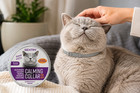 Sentry Calming Collar For Cats 30 Day Pheromone Anxiety Stress Relief Aid