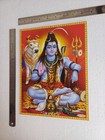 Lord Shiva Shankar Mahadev - Hindu God Normal Poster 8 5x11 Inch