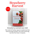 Lot Of 3 Strawberry Scented Wax Melts 100  Soy Wax Tarts Home Fragrance