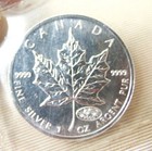 1999-2000 Canada Elizabeth Ii 5 Dollars 9999 Silver Maple Leaf 1 Oz Coin