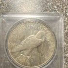1934 Peace Silver Dollar  1 90  Silver Business Strike Philadelphia In Holder