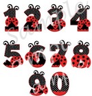 Ladybug Personalized Custom Name Age Birthday Seals Labels Stickers Party Favors