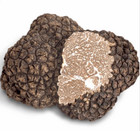 Fresh Black Burgundy Truffles  tuber Uncinatum 
