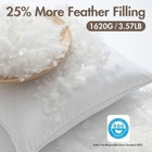 Miulee 24x24 Euro Pillow Inserts  2-pack  - Down Feather Throw Pillows Cotton Co