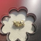 Luckyrips Natural Gold Nugget 0 95 G Alaska Usa Gold             