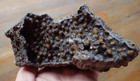 Botryoidal Fossil Coral Geode Chunk Ga Specimen Collection Ocean Science Wc320