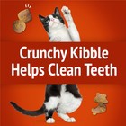 Friskies Cat Treats  Party Mix Gravy-licious Crunch Chicken And Gravy Flavors