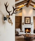 Deer Skull Mount Hanger  Adjustable European Mount Skull Hanger
