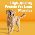 High Protein Dry Dog Food  Beef   Lamb Flavor  18 Lb  Bag For Adult Dogs