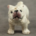 English Bulldog Cast Iron Miniature Statue Paperweight