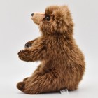 Hansa Japan Brown Bear 28 Bh5732 New Realistic Plush Animals From Japan