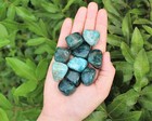 Bulk 1 2 Lb Lot Blue Green Apatite Tumbled Stone  crystal Healing Reiki  8 Oz