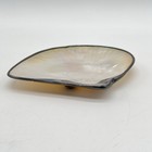 Mother Of Pearl Abalone Shell Dish Dark Metal Trim Caviar Serving Tray