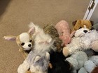 Ganz Plush Webkinz Lot Stuffed Animals Kids Toys Lot Of  22 No Codes Dogs  Cats 