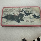Vintage Cat Refrigerator Magnets Orange Cat  white Cat tuxedo And Tabby