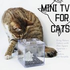Mini Betta Fish Tank Stackable Small Fish Bowl For Desktop Decoration 0 2 Gal   