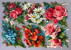 C 1900 Flower Rose Daisy Poppy Mk German Embossed Die Cut Scrap Sheet Antique