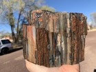       rr     Top Quality Arizona Rainbow Petrified Wood  4 Lb      
