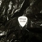 Motley Crue John 5 Ex Rob Zombie Marilyn Manson 2024 Stage Guitar Pick