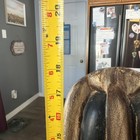 Ghana Hand Carved Wooden Head Sculpture Figurine Africa Tribal Art 18    Vintage