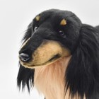 Hansa Miniature Dachshund Dog Long Hair Big Size Plush Toy Doll Bh8149 Japan