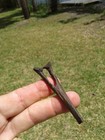 Superb High Quality Alligator Chevron Bone Florida Ice Age Fossil 