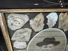 Antique Vtg Victorian Photo Frame Mother Of Pearl Albalone Shell 12   x10    8   x10   