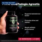 Fadogia Agrestis For Men - 600mg Per Serving - Promotes Performance 