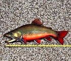 23 Inch Male Brook Trout Metal Replica - Realistic Wildlife 2d Wall Art