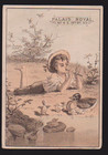 1880 s Palais Royal  No  4 East 14th St Ny Trade Card   Boy   Duck Family  F362