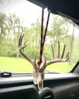 Deer Skull Rearview Mirror Hanger Whitetail Buck Antler Car Truck Decor