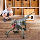 Roaring Realistic Dinosaur Rc Remote-controlled Toys Jurassic Fight Walk World