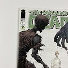 The Walking Dead 1 By Eric Larsen Emerald City Exclusive Amc Rick Grimes