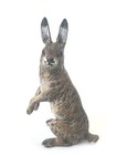 Antique Austrian Vienna Cold Painted Bronze Figure Sitting Brown Rabbit 2 1 4   