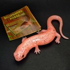 Red Salamander Soft Rubber Bead Filled Jiggler Sbabam Discontinued Unopened