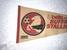 Vintage Buffalo Stallions Misl Soccer Pennant Signed Autographed 1979-1984