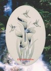 Lily Hummingbirds Window Decal Oval 21x33 Static Cling Sliding Glass Door Decor