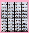 China Taiwan Atm 5 4 E    Black Bear All Numbers 076-127 Mnh   Innovision             